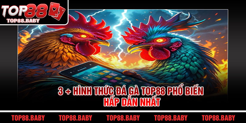 3 + hình thức đá gà Top88 phổ biến hấp dẫn nhất