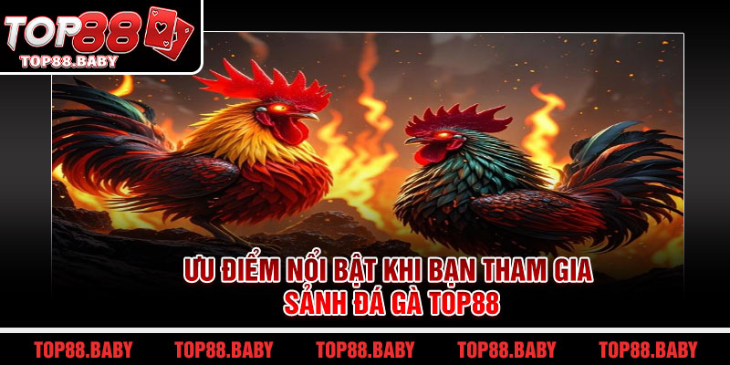 Uu diem noi bat khi ban tham gia sanh da ga Top88